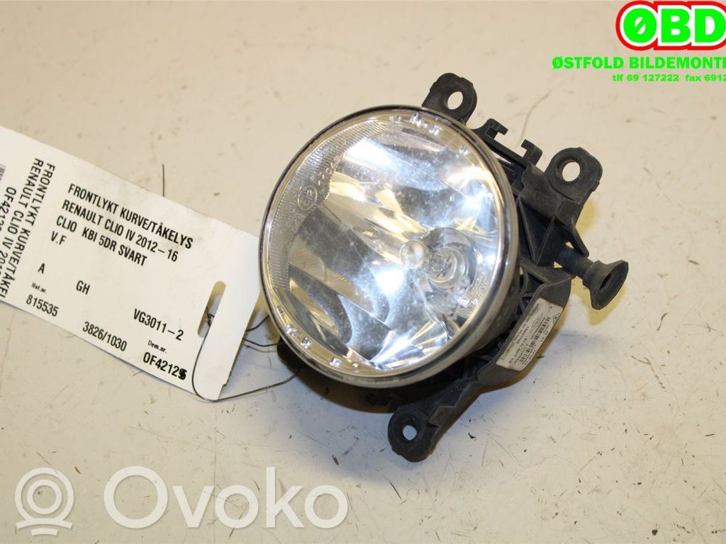 Renault Clio IV Fendinebbia anteriore