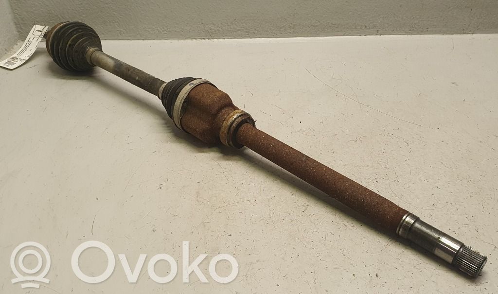 Priekšējā pusass   1614919680,1614919680