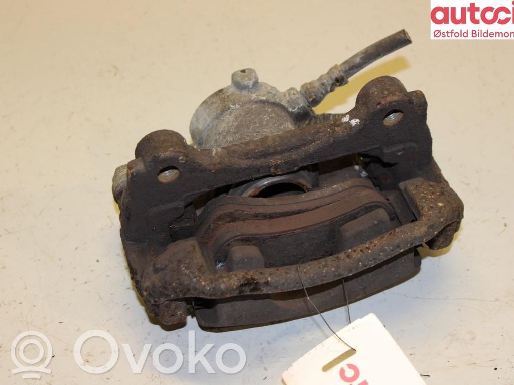 Takajarrusatula   51963119,51963119