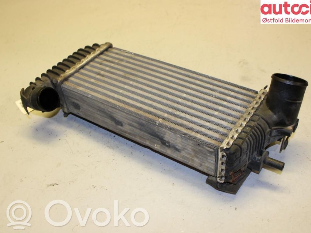 Ford Transit -  Tourneo Connect Radiator intercooler 