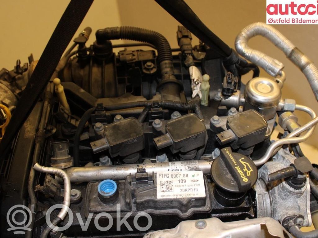 Ford C-MAX II Dzinējs 
