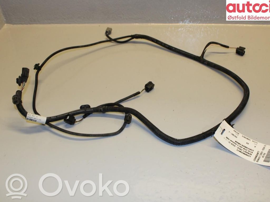 Renault Zoe Mazo de cables 