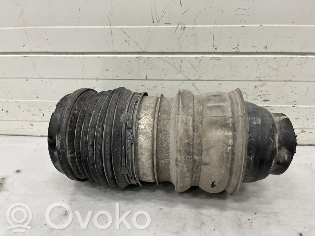 Porsche Taycan 9J1 Butelie suspensie pneumatică spate/amortizor 