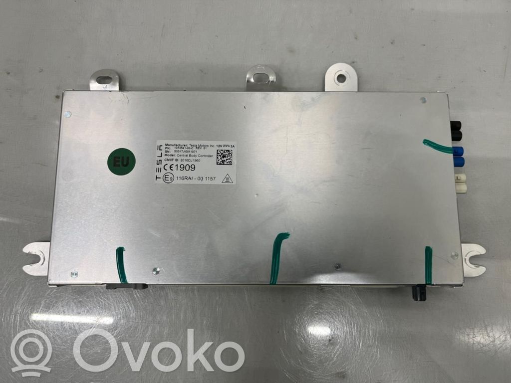 Tesla Model X Kėbulo modulis 