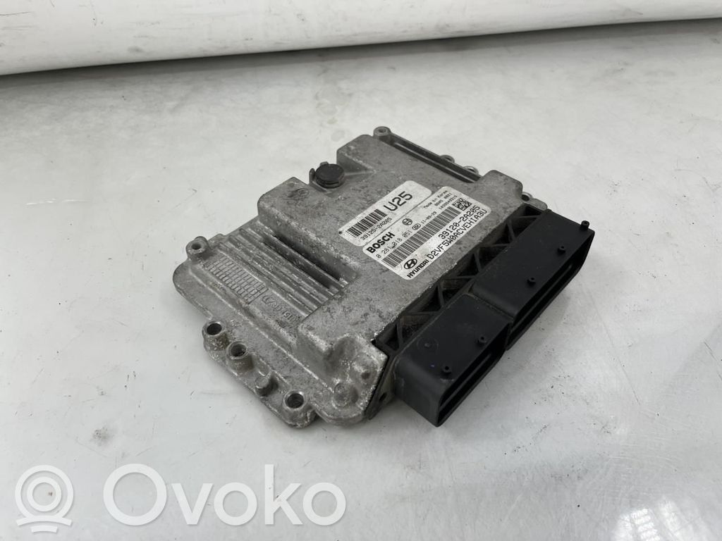Engine control unit/module ECU   391202A205,0281018051,0281018051,391202A205