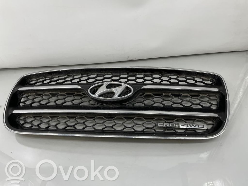 Hyundai Santa Fe Front grill 