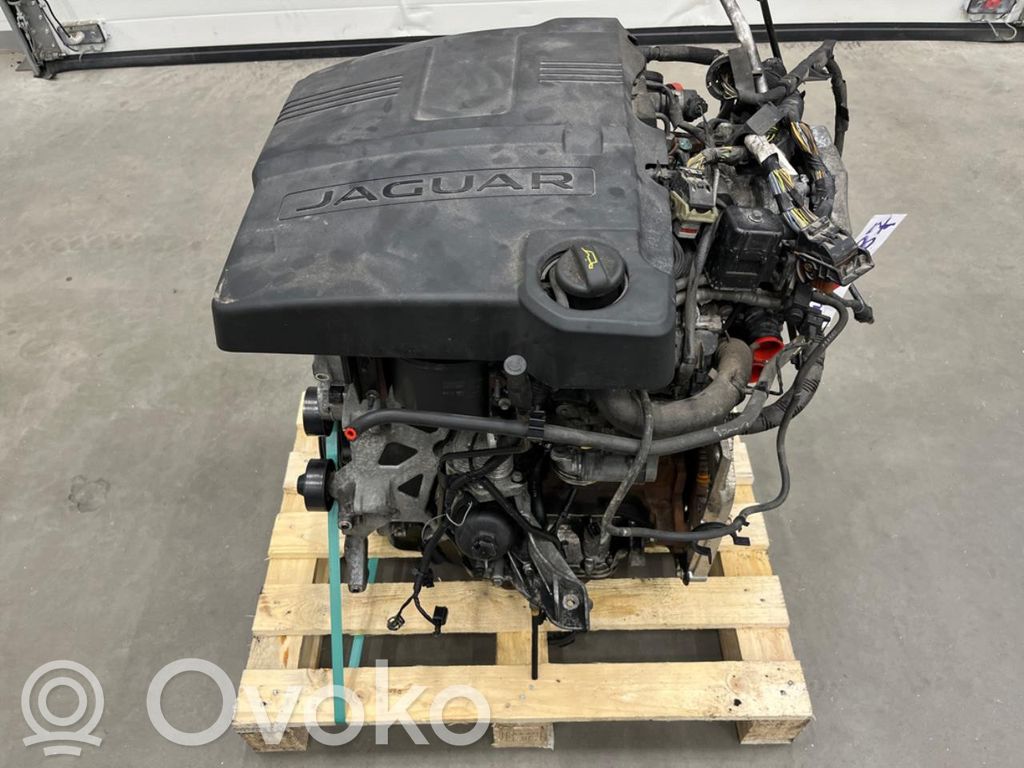 Jaguar XF X250 Motor 