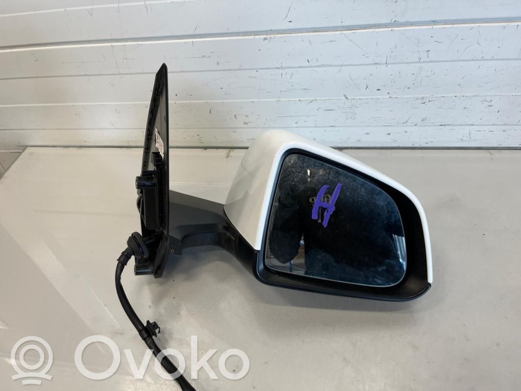 Tesla Model Y Veidrodėlis (elektra valdomas) (dvidurio) 