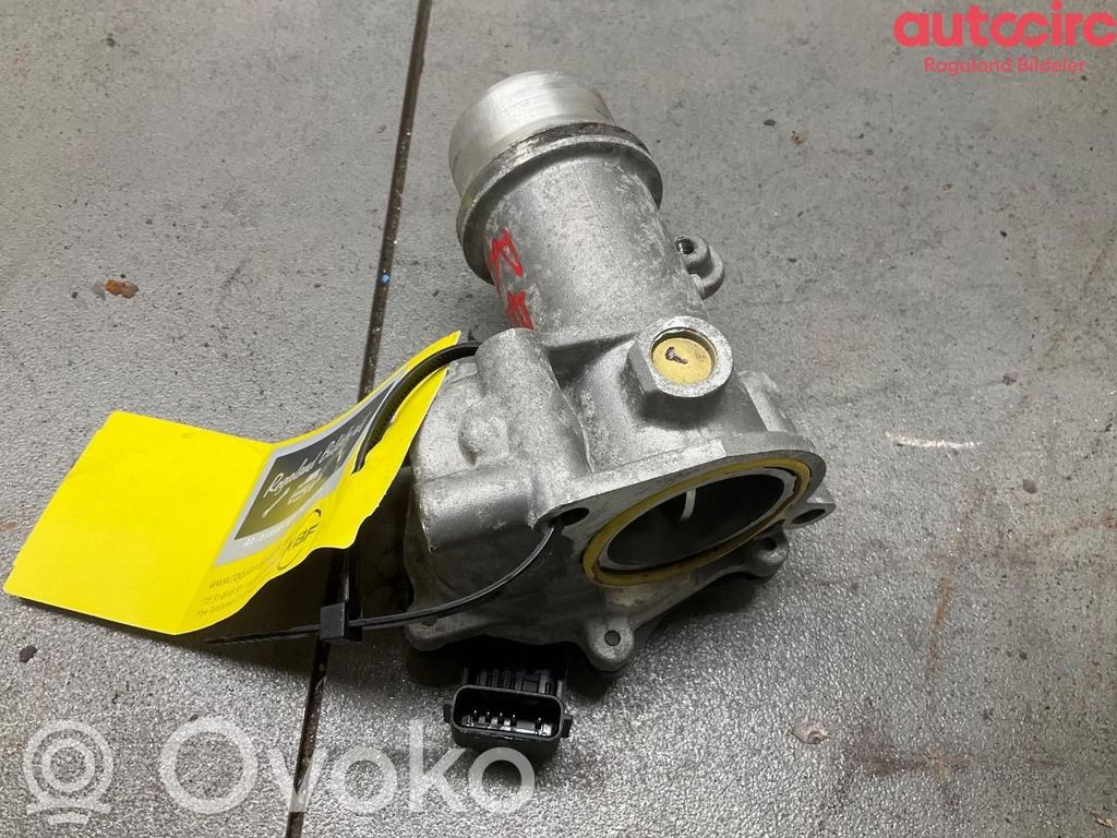 Drosele   161A03415R,161A03415R