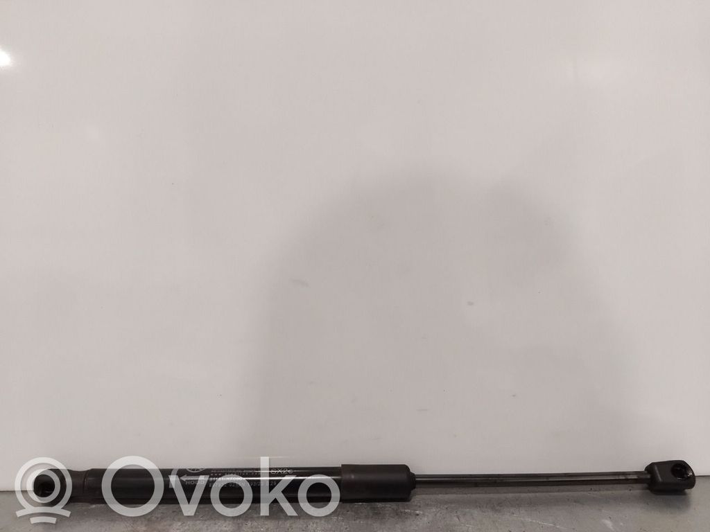 Hyundai Kona I Vérin, capot-moteur