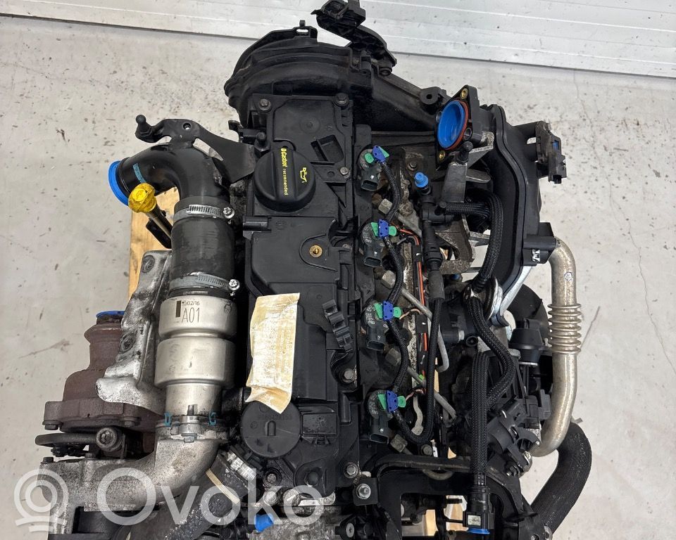 Ford C-MAX II Engine 