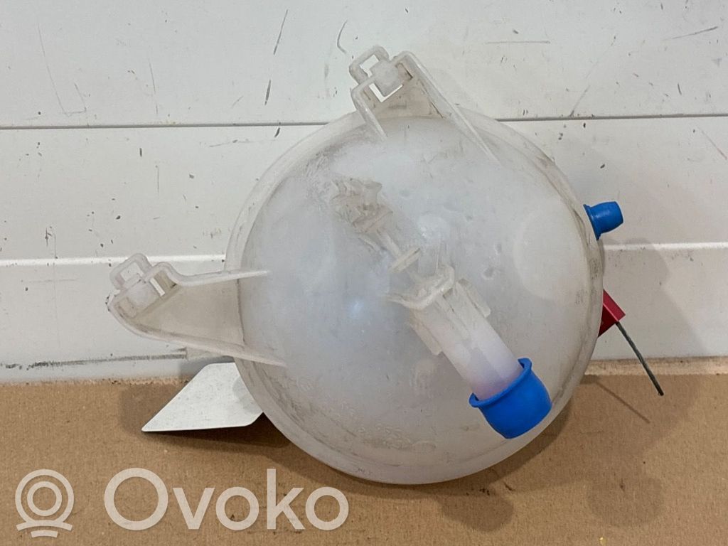 Volkswagen e-Golf Vaso di espansione carburante