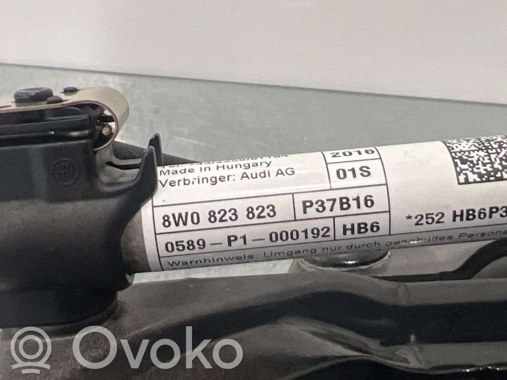 Audi A4 S4 B9 Dzinēja pārsega eņģe (-es) 