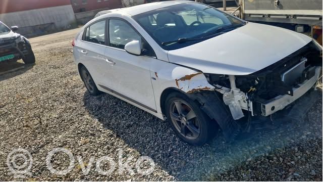 Hyundai Ioniq Bateria do samochodu elektrycznego / hybrydowego 