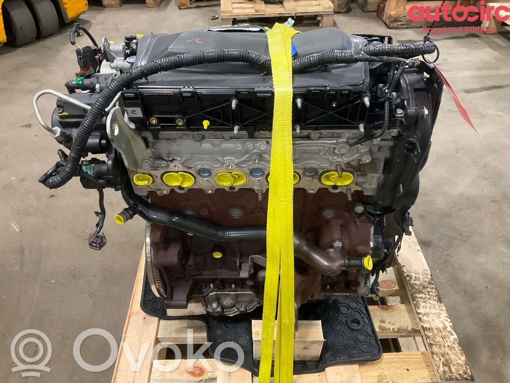 Ford Focus Motore 