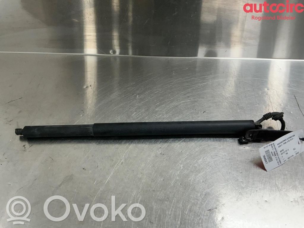 Audi e-tron Motor ridicare hayon/capotă portbagaj