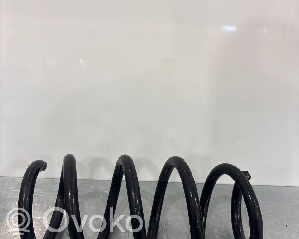 Tesla Model 3 Rear coil spring rubber mount 