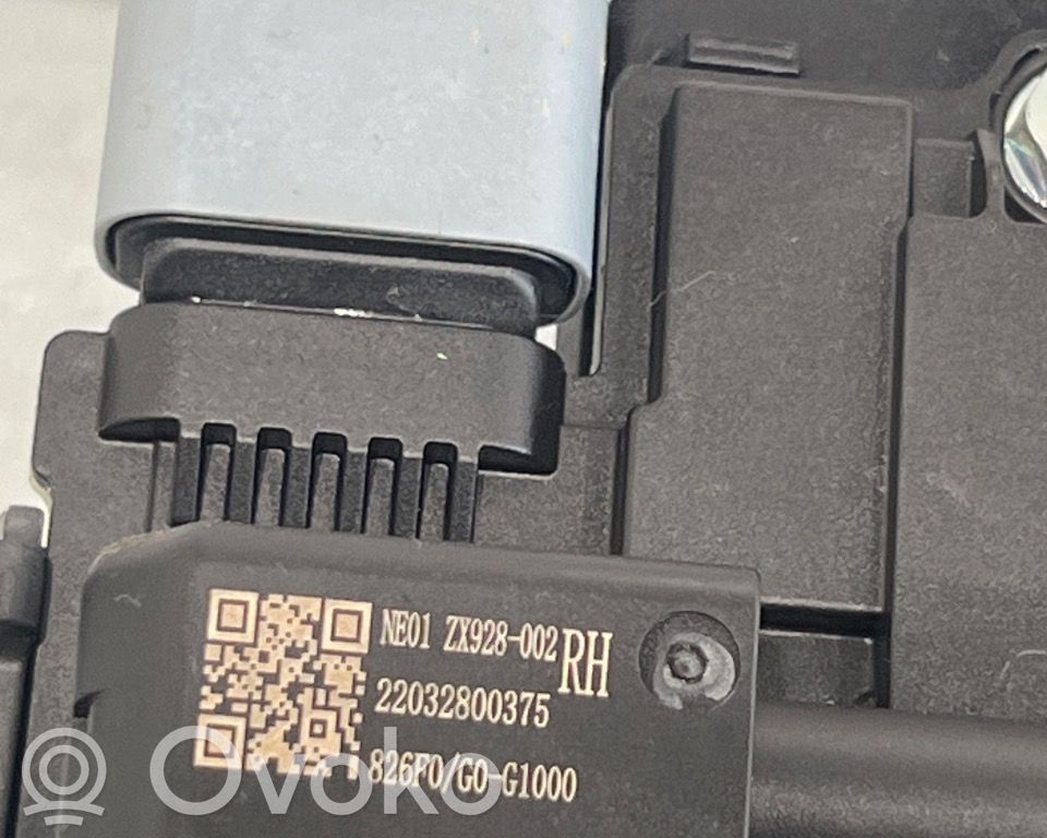 KIA EV6 Manecilla externa puerta trasera