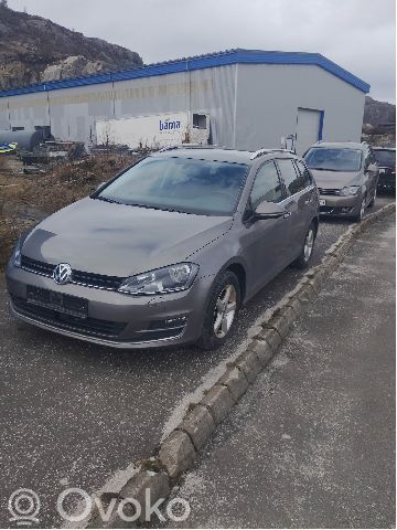 Volkswagen Golf VII Engine 