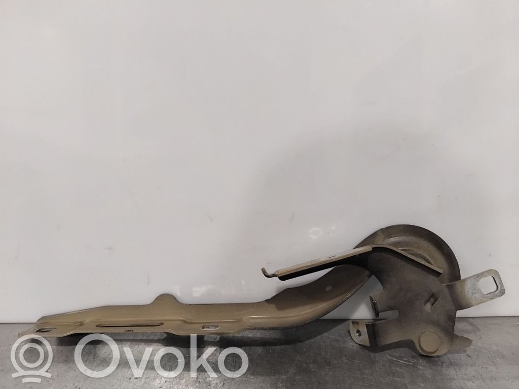 Peugeot Expert Dzinēja pārsega eņģe (-es) 