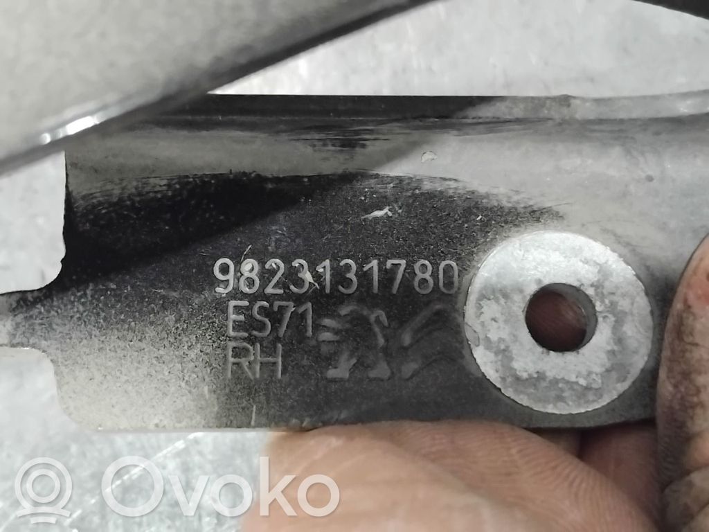 Peugeot Expert Dzinēja pārsega eņģe (-es) 