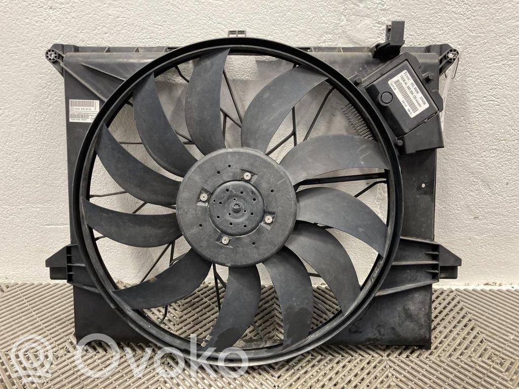 Mercedes-Benz ML W164 Elektrolüfter 