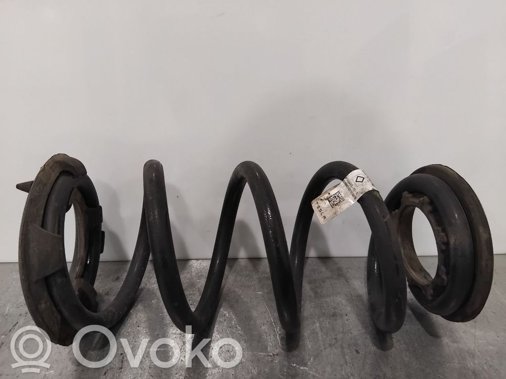 Tesla Model 3 Rear coil spring rubber mount 