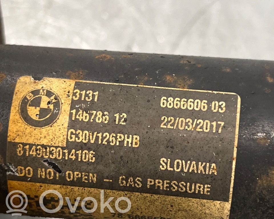 BMW 5 G30 G31 G38 Amortyzator osi przedniej ze sprężyną 