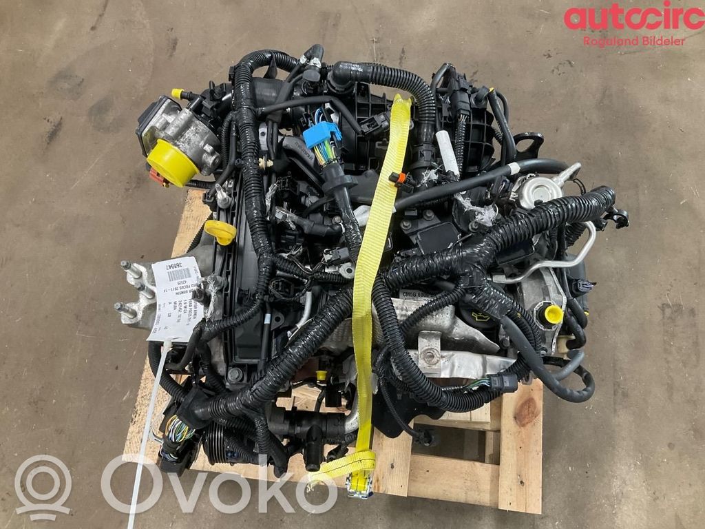 Ford Focus Variklis 