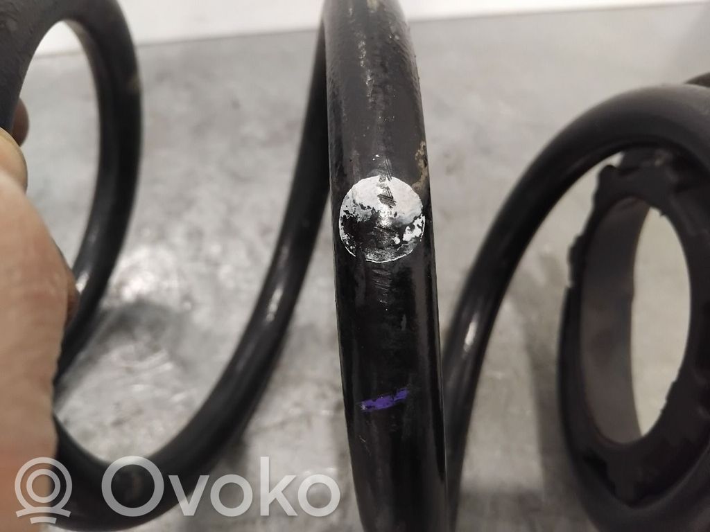 Tesla Model 3 Molla elicoidale posteriore con cuscinetti in gomma 