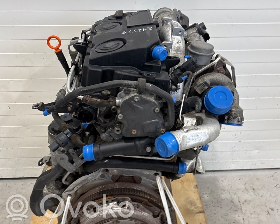 Volkswagen Golf V Motor 