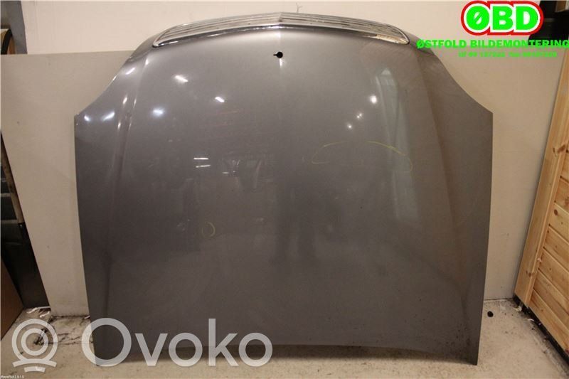 Engine bonnet/hood