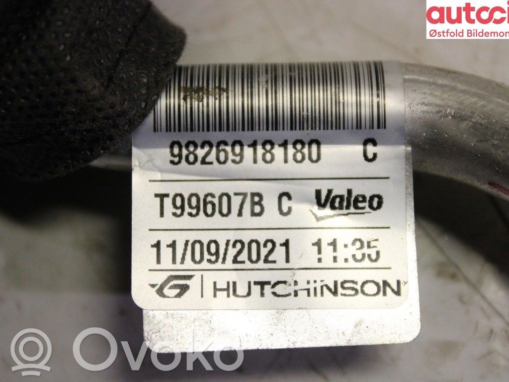 Peugeot 208 II Conductă/furtun aer condiționat (A/C)