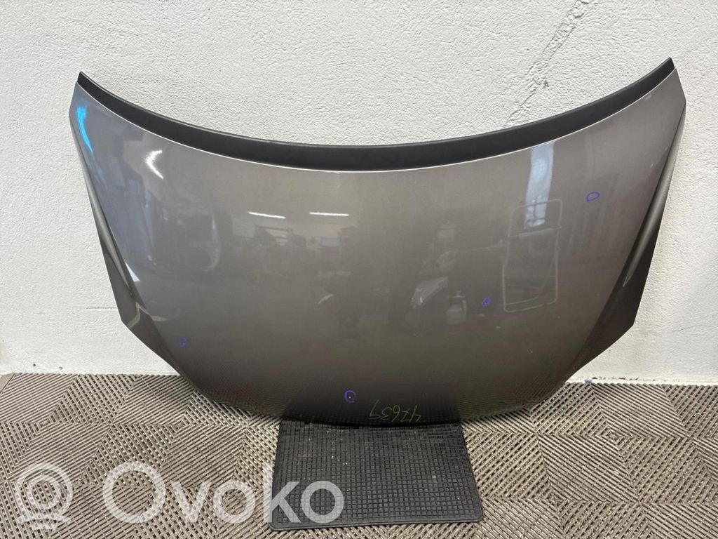 Volkswagen Golf Plus Vano motore/cofano 