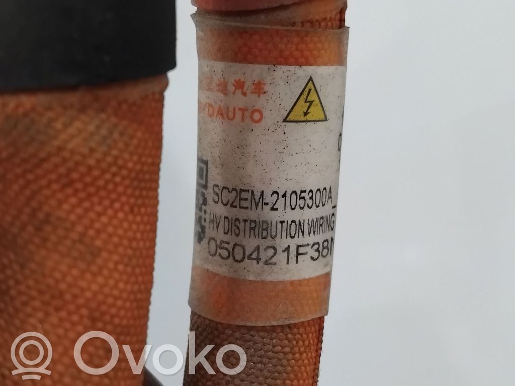 BYD Atto 3 Hochspannungskabel 
