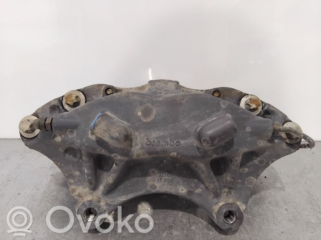 Bremssattel vorne   100316100D,100316100D