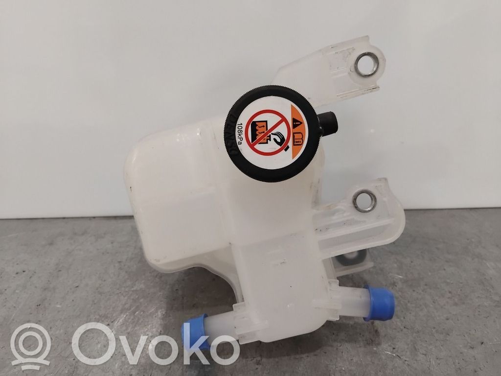 Toyota bZ4X Zbiornik wyrównawczy paliwa 