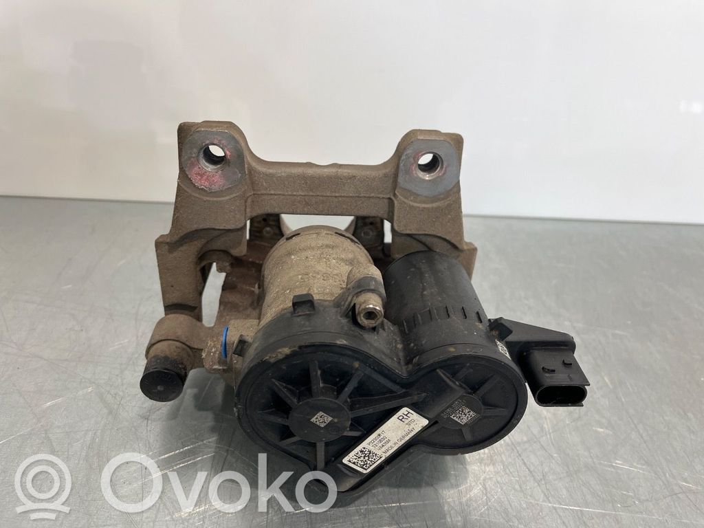 Takajarrusatula   36012914,32300771,32300771,32300771,36012914