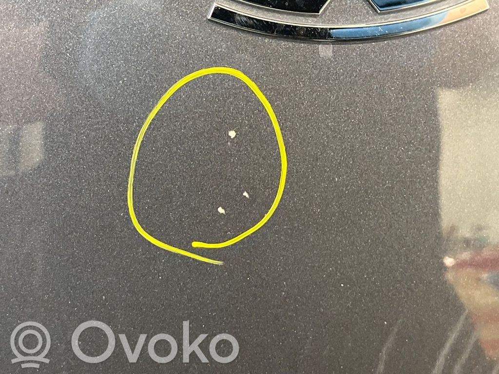 Tesla Model 3 Capó/tapa del motor 