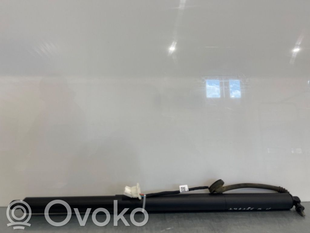 Tesla Model Y Amortizor hayon 