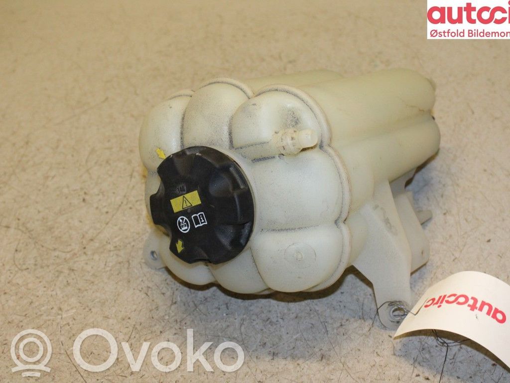 BMW X5 F15 Vas expansiune combustibil 