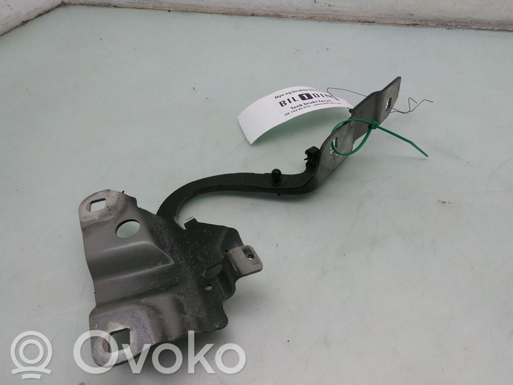 Balamale capotă   654009955R,654009955R