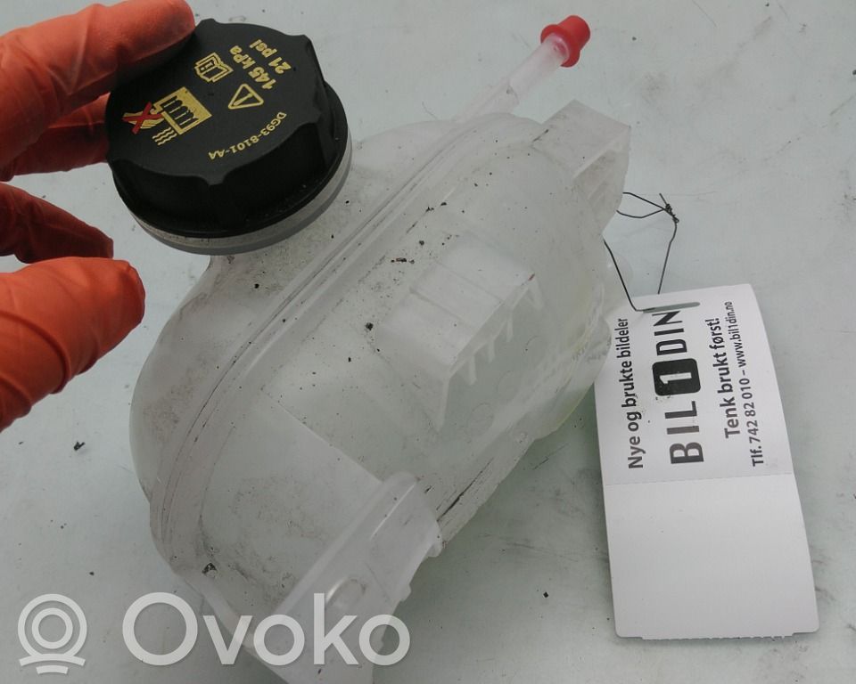 Ford Mustang Mach-E Fuel expansion tank 