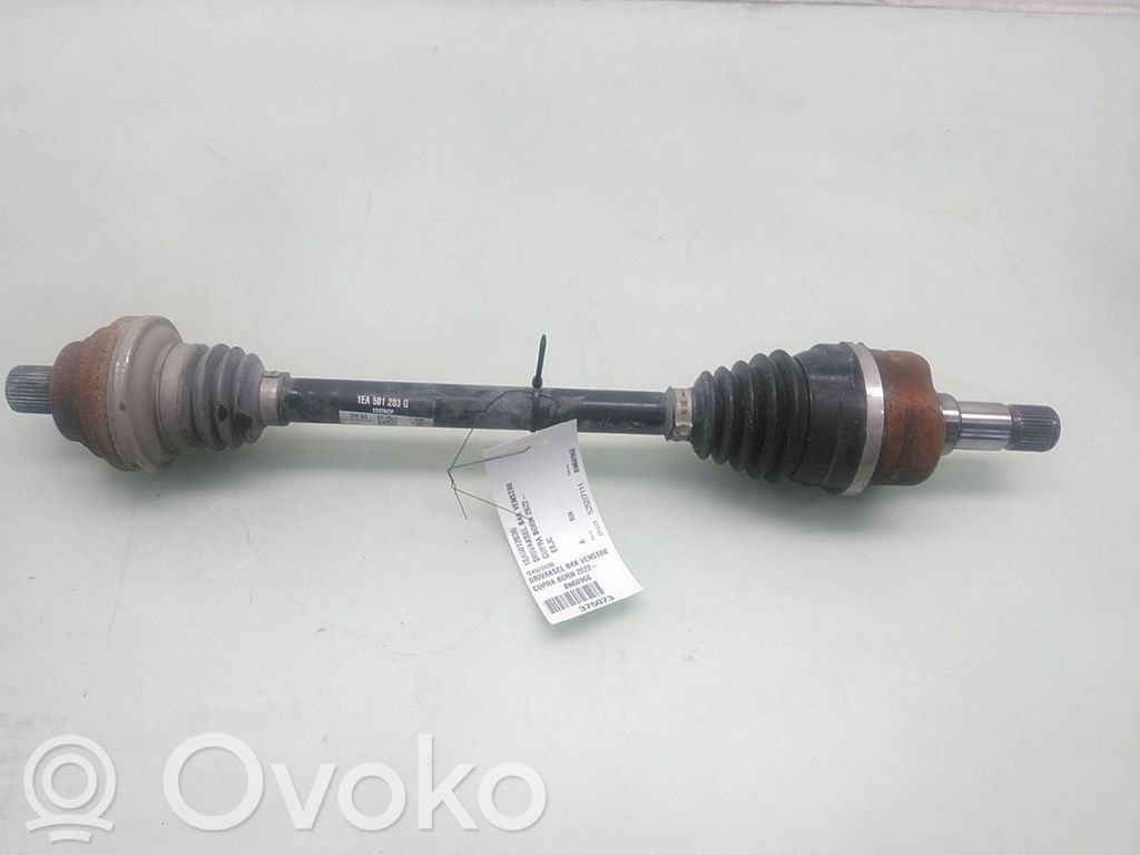 Cupra Born Planetară spate 