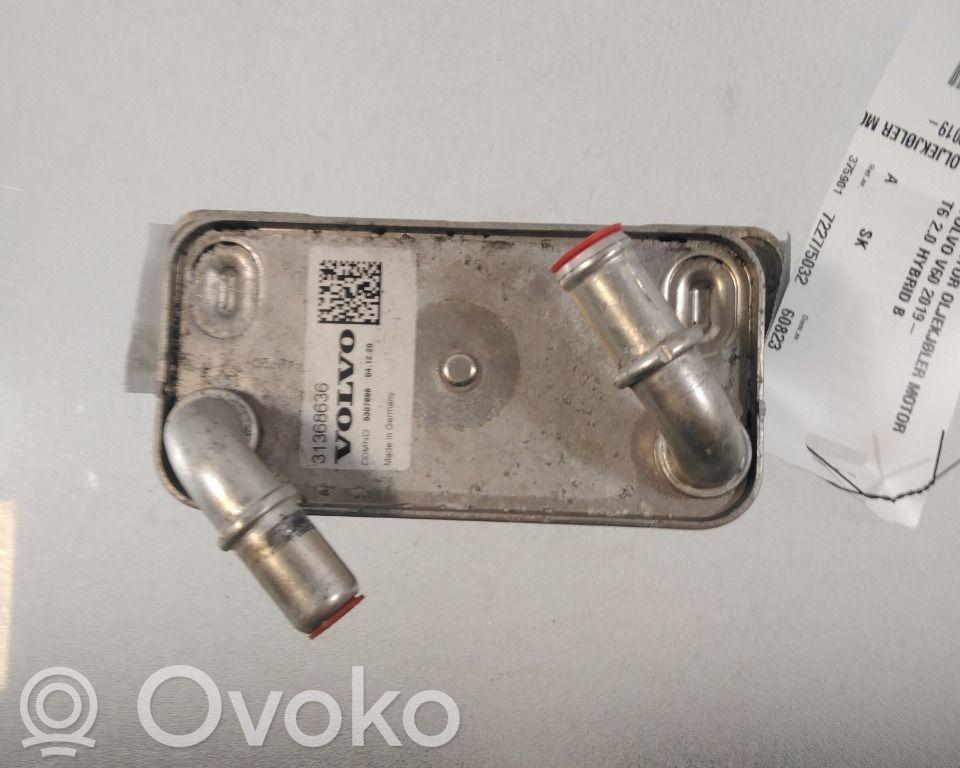 Volvo V60 Radiatore dell’olio trasmissione/cambio 