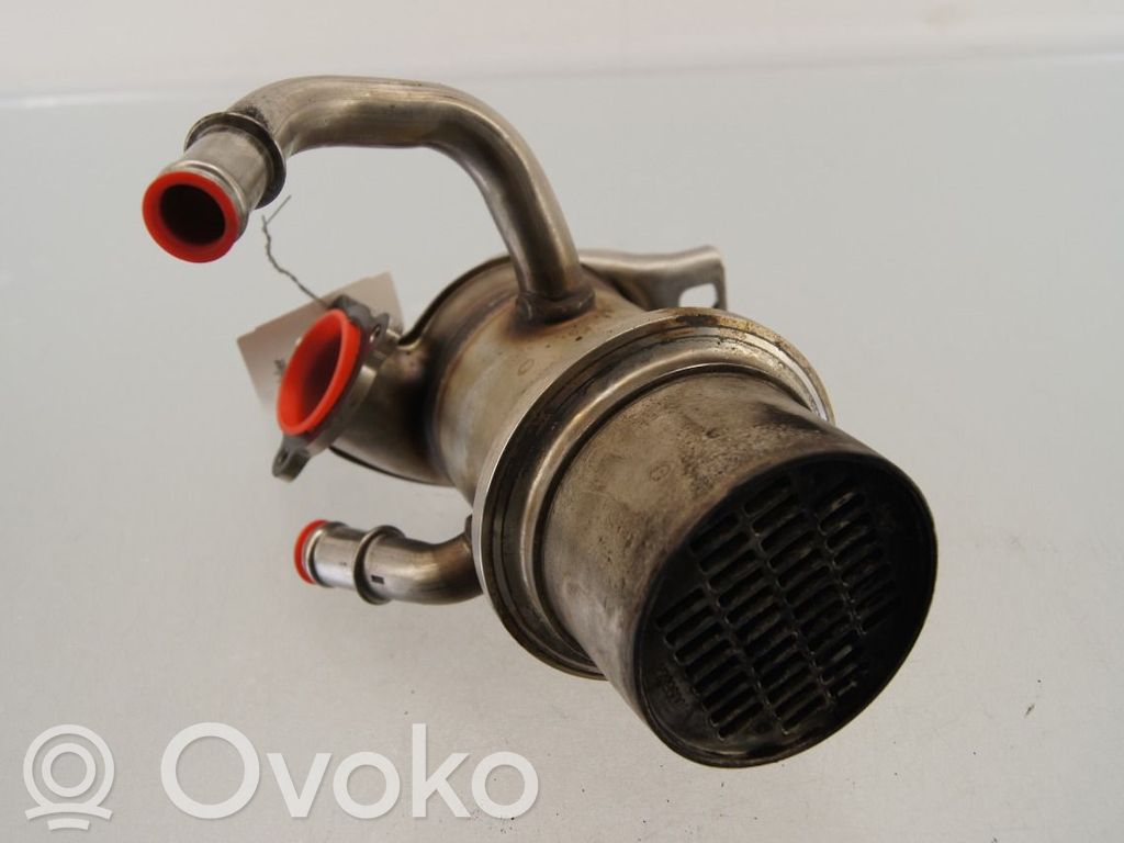 Volkswagen PASSAT B8 Valvola di raffreddamento EGR 
