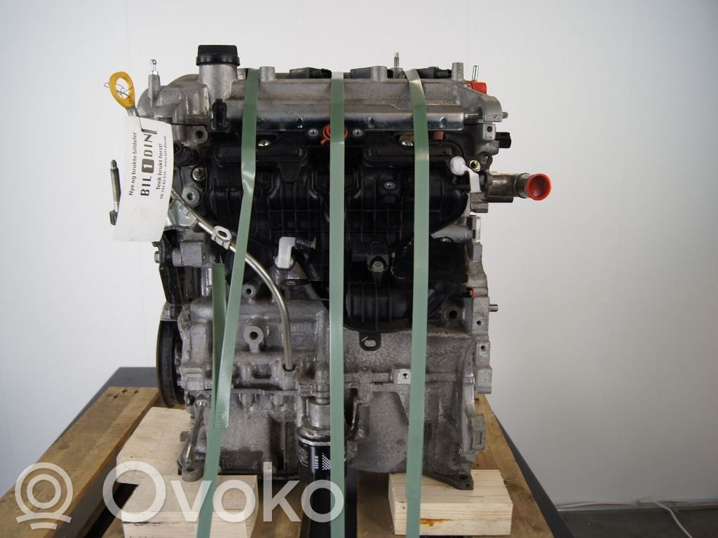 Motor   1900021D01,X1NZP92,X1NZP92,1900021D01,1NZFXE,X1NZP92