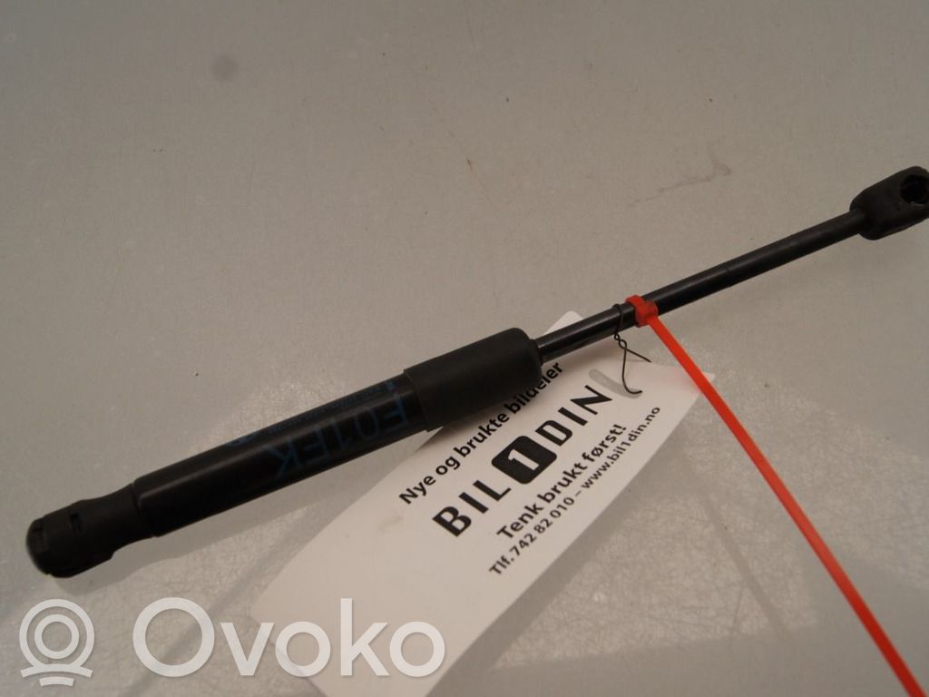 BMW 7 F01 F02 F03 F04 Ammortizzatore portellone anteriore/cofano