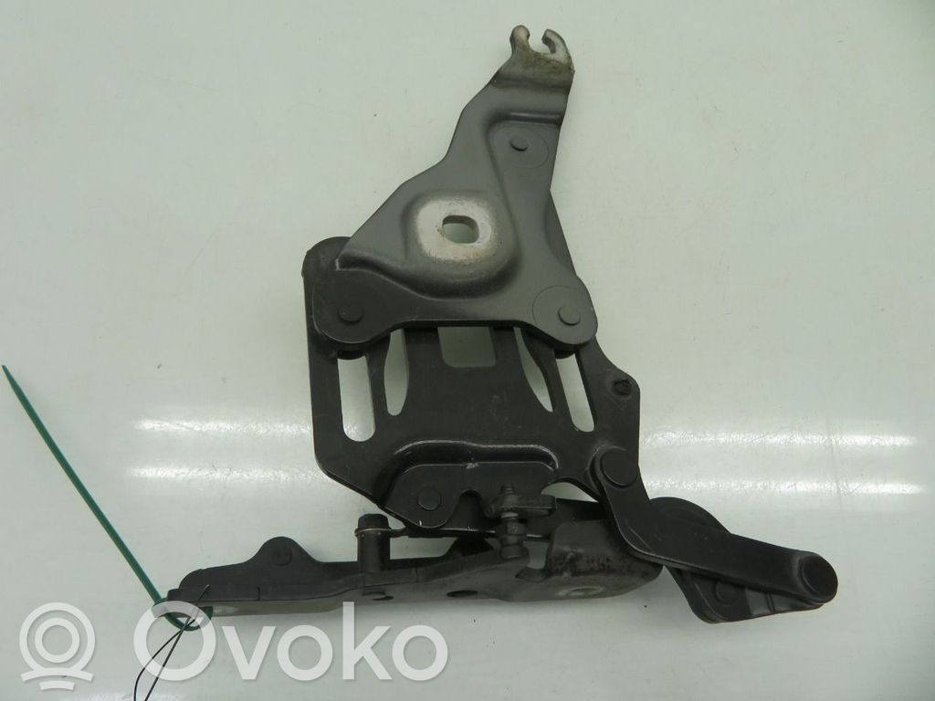 BMW X5 E70 Cerniere del vano motore/cofano 