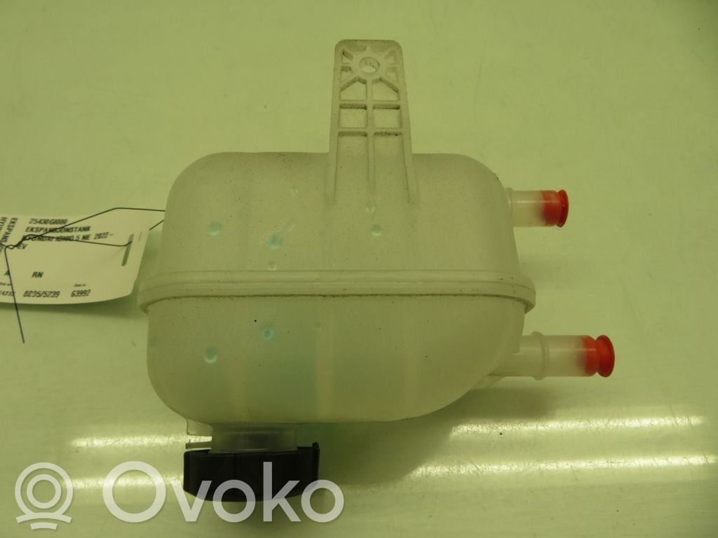 Hyundai Ioniq 5 Vaso di espansione carburante